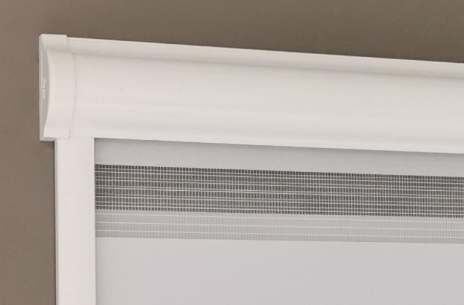 Frame 1265 (1).jpg